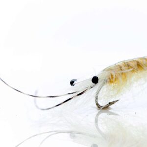 CDC rejen yellow olive scaled