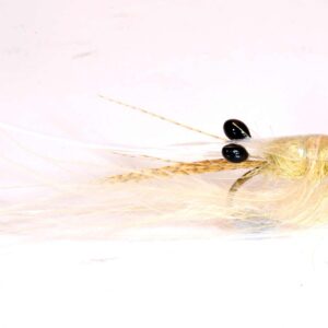 crangon shrimp cream scaled