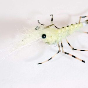 honey shrimp chartreuse legs scaled