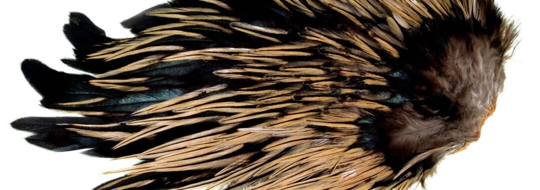 Fluebindingsmaterialer-cock-saddle-badger